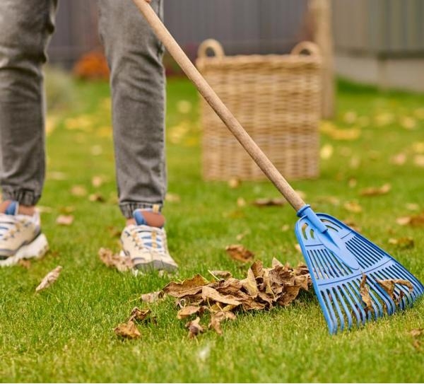 Site ve D�� Mekan Temizli�i